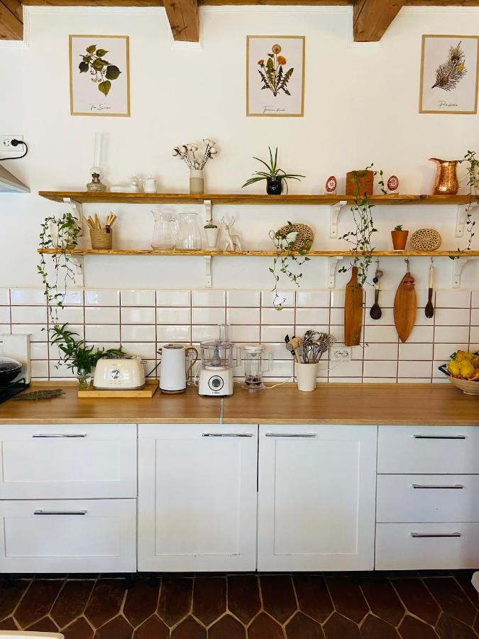 Slow Living Cottage, Dobolii De Sus Εξωτερικό φωτογραφία
