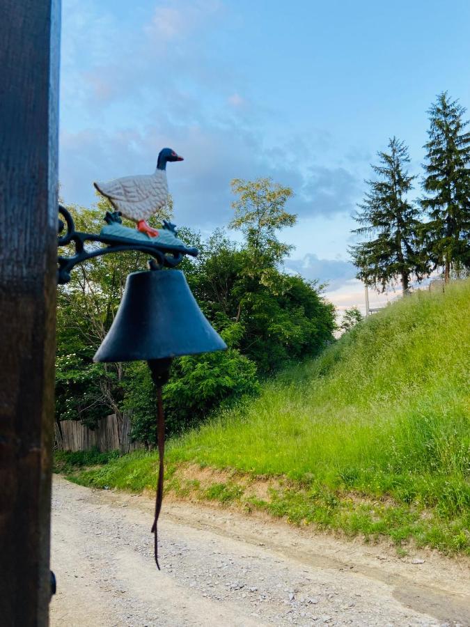 Slow Living Cottage, Dobolii De Sus Εξωτερικό φωτογραφία