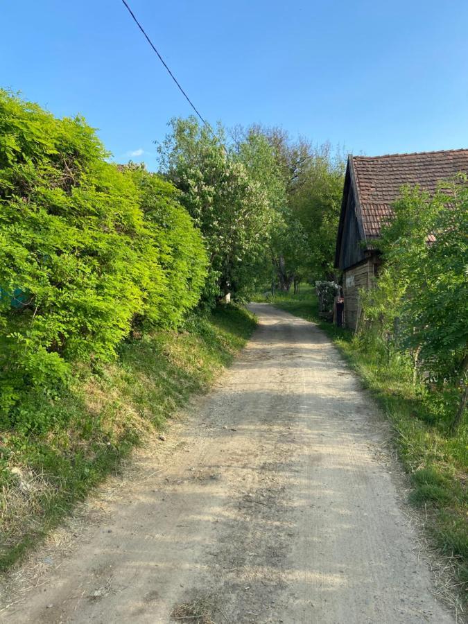 Slow Living Cottage, Dobolii De Sus Εξωτερικό φωτογραφία