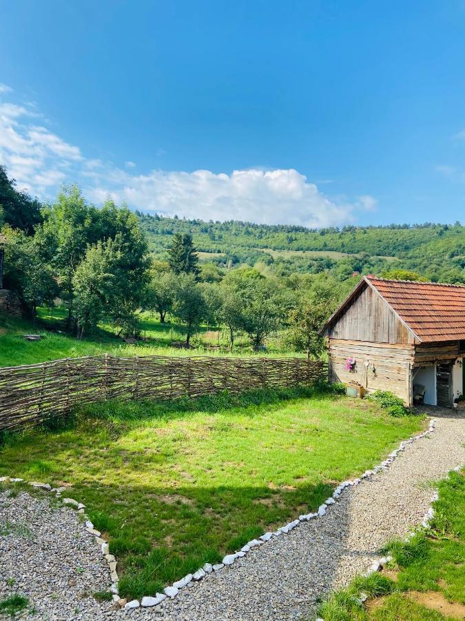 Slow Living Cottage, Dobolii De Sus Εξωτερικό φωτογραφία